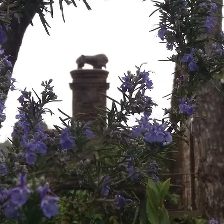 Il Rifugio Del Leone *